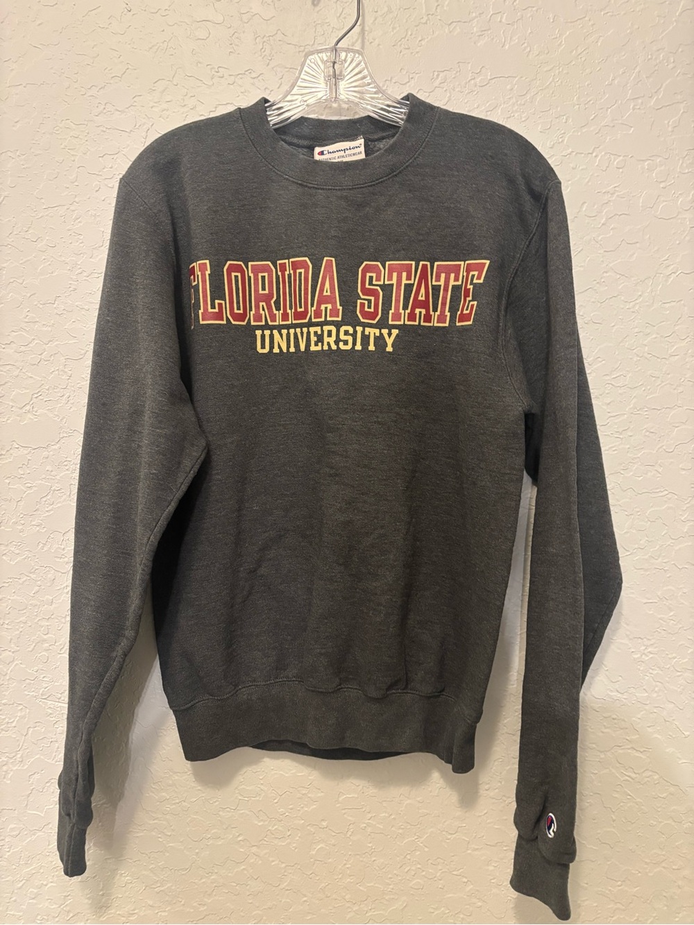 Champion Florida state university sweatshirt  Size XS graduation photo